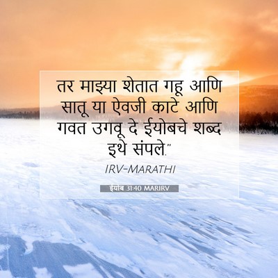 Picture 07 - ईयोब 31:40 MARIRV - तर माझ्या शेतात - Bible Verse Picture
