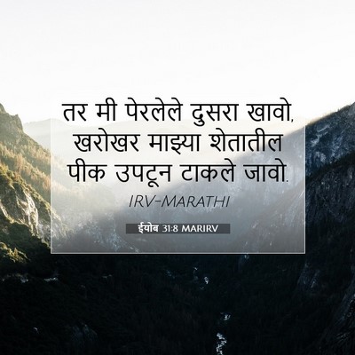 Picture 07 - ईयोब 31:8 MARIRV - तर मी पेरलेले - Bible Verse Picture