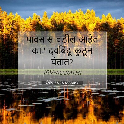 Picture 07 - ईयोब 38:28 MARIRV - पावसास वडील आहेत - Bible Verse Picture