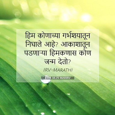 Picture 07 - ईयोब 38:29 MARIRV - हिम कोणाच्या - Bible Verse Picture