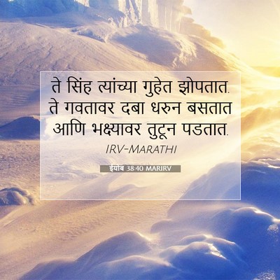 Picture 07 - ईयोब 38:40 MARIRV - ते सिंह त्यांच्या - Bible Verse Picture