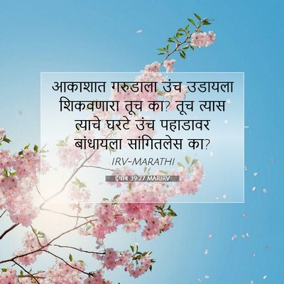 Picture 07 - ईयोब 39:27 MARIRV - आकाशात गरुडाला - Bible Verse Picture