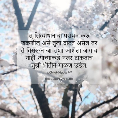 Picture 07 - ईयोब 41:9 MARIRV - तू लिव्याथानाचा - Bible Verse Picture