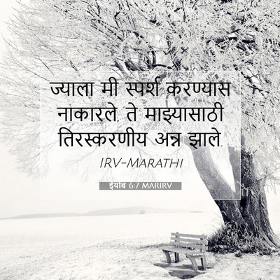 Picture 07 - ईयोब 6:7 MARIRV - ज्याला मी स्पर्श - Bible Verse Picture