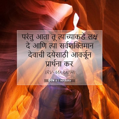 Picture 07 - ईयोब 8:5 MARIRV - परंतु आता तू - Bible Verse Picture
