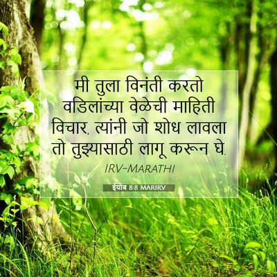 Picture 07 - ईयोब 8:8 MARIRV - मी तुला विनंती - Bible Verse Picture