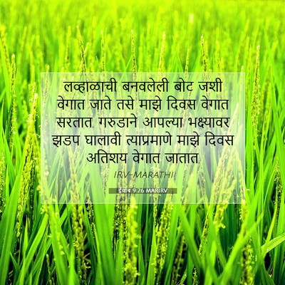 Picture 07 - ईयोब 9:26 MARIRV - लव्हाळाची बनवलेली - Bible Verse Picture