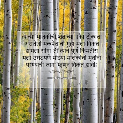 Picture 07 - उत्पत्ति 23:9 MARIRV - त्याच्या मालकीची - Bible Verse Picture