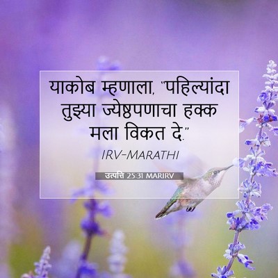 Picture 07 - उत्पत्ति 25:31 MARIRV - याकोब म्हणाला, - Bible Verse Picture