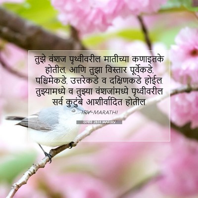 Picture 07 - उत्पत्ति 28:14 MARIRV - तुझे वंशज - Bible Verse Picture