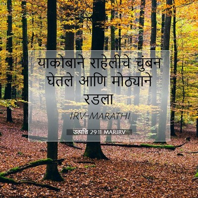 Picture 07 - उत्पत्ति 29:11 MARIRV - याकोबाने राहेलीचे - Bible Verse Picture