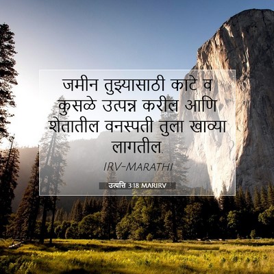 Picture 07 - उत्पत्ति 3:18 MARIRV - जमीन तुझ्यासाठी - Bible Verse Picture