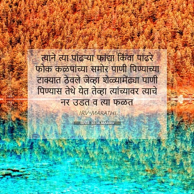 Picture 07 - उत्पत्ति 30:38 MARIRV - त्याने त्या - Bible Verse Picture