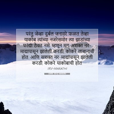 Picture 07 - उत्पत्ति 30:42 MARIRV - परंतु जेव्हा - Bible Verse Picture
