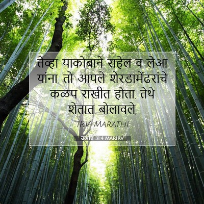 Picture 07 - उत्पत्ति 31:4 MARIRV - तेव्हा याकोबाने - Bible Verse Picture