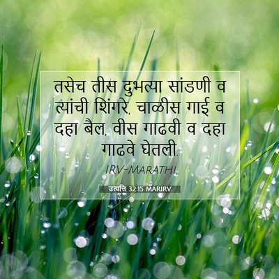 Picture 07 - उत्पत्ति 32:15 MARIRV - तसेच तीस दुभत्या - Bible Verse Picture