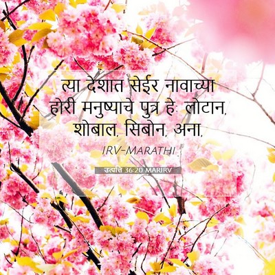 Picture 07 - उत्पत्ति 36:20 MARIRV - त्या देशात सेईर - Bible Verse Picture