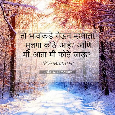 Picture 07 - उत्पत्ति 37:30 MARIRV - तो भावांकडे येऊन - Bible Verse Picture