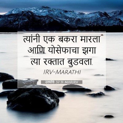 Picture 07 - उत्पत्ति 37:31 MARIRV - त्यांनी एक बकरा - Bible Verse Picture