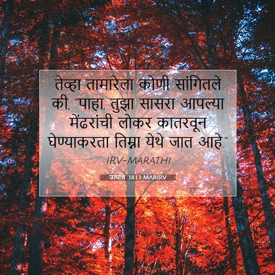 Picture 07 - उत्पत्ति 38:13 MARIRV - तेव्हा तामारेला - Bible Verse Picture