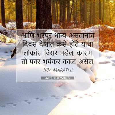 Picture 07 - उत्पत्ति 41:31 MARIRV - आणि भरपूर धान्य - Bible Verse Picture