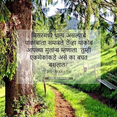 Picture 07 - उत्पत्ति 42:1 MARIRV - मिसरमध्ये धान्य - Bible Verse Picture