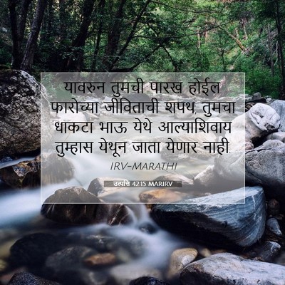 Picture 07 - उत्पत्ति 42:15 MARIRV - यावरुन तुमची पारख - Bible Verse Picture