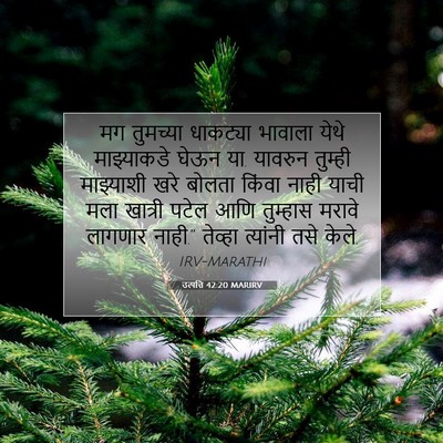 Picture 07 - उत्पत्ति 42:20 MARIRV - मग तुमच्या - Bible Verse Picture