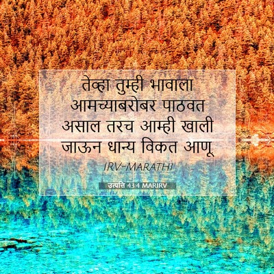 Picture 07 - उत्पत्ति 43:4 MARIRV - तेव्हा तुम्ही - Bible Verse Picture
