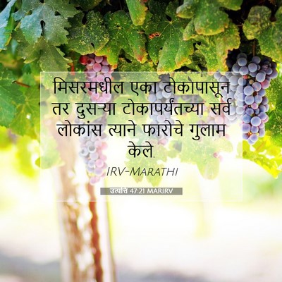 Picture 07 - उत्पत्ति 47:21 MARIRV - मिसरमधील एका - Bible Verse Picture