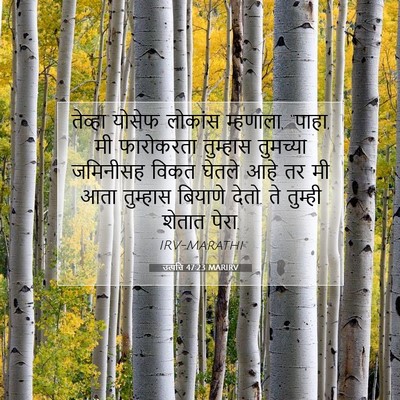 Picture 07 - उत्पत्ति 47:23 MARIRV - तेव्हा योसेफ - Bible Verse Picture