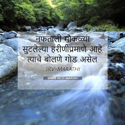 Picture 07 - उत्पत्ति 49:21 MARIRV - नफताली मोकळ्या - Bible Verse Picture