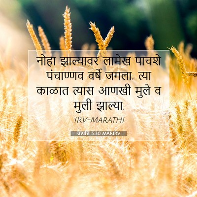 Picture 07 - उत्पत्ति 5:30 MARIRV - नोहा झाल्यावर - Bible Verse Picture
