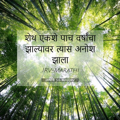 Picture 07 - उत्पत्ति 5:6 MARIRV - शेथ एकशे पाच - Bible Verse Picture