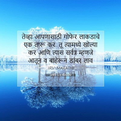 Picture 07 - उत्पत्ति 6:14 MARIRV - तेव्हा आपणासाठी - Bible Verse Picture