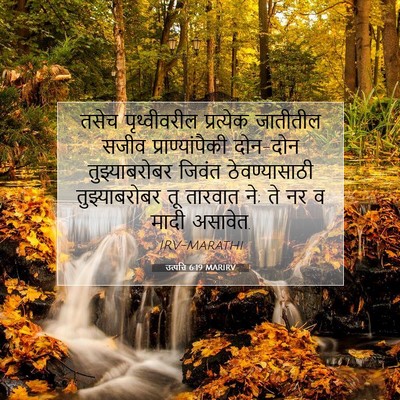 Picture 07 - उत्पत्ति 6:19 MARIRV - तसेच पृथ्वीवरील - Bible Verse Picture