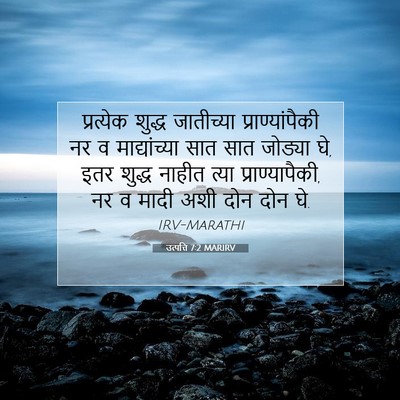 Picture 07 - उत्पत्ति 7:2 MARIRV - प्रत्येक शुद्ध - Bible Verse Picture