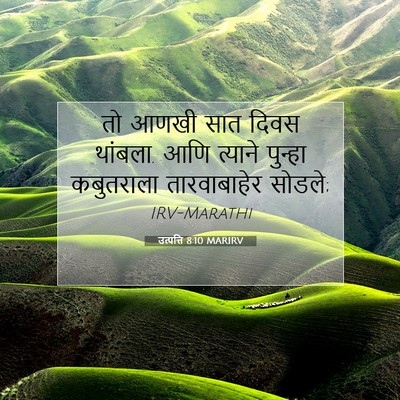 Picture 07 - उत्पत्ति 8:10 MARIRV - तो आणखी सात दिवस - Bible Verse Picture