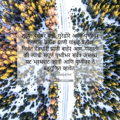 Picture 07 - उत्पत्ति 8:17 MARIRV - तुझ्या बरोबर - Bible Verse Picture