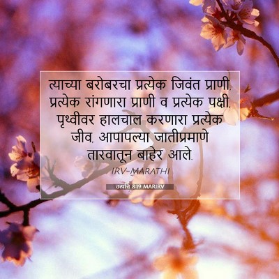 Picture 07 - उत्पत्ति 8:19 MARIRV - त्याच्या बरोबरचा - Bible Verse Picture