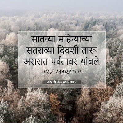 Picture 07 - उत्पत्ति 8:4 MARIRV - सातव्या - Bible Verse Picture