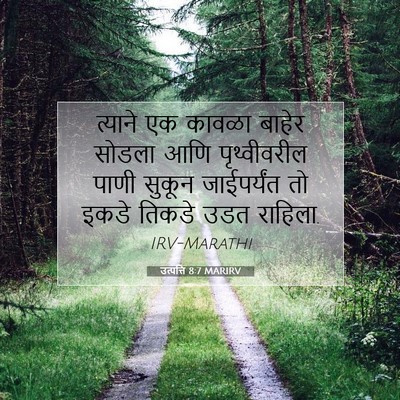 Picture 07 - उत्पत्ति 8:7 MARIRV - त्याने एक कावळा - Bible Verse Picture