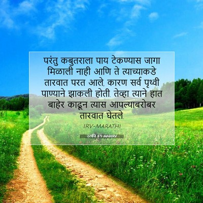 Picture 07 - उत्पत्ति 8:9 MARIRV - परंतु कबुतराला - Bible Verse Picture