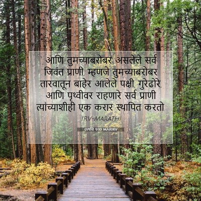 Picture 07 - उत्पत्ति 9:10 MARIRV - आणि तुमच्याबरोबर - Bible Verse Picture