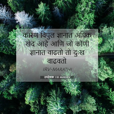 Picture 07 - उपदेशक 1:18 MARIRV - कारण विपुल - Bible Verse Picture
