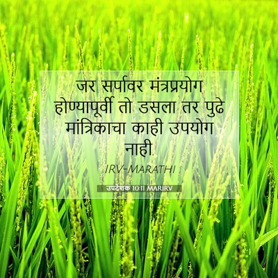 Picture 07 - उपदेशक 10:11 MARIRV - जर सर्पावर - Bible Verse Picture