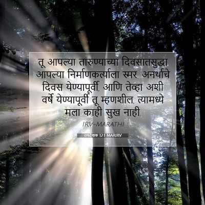 Picture 07 - उपदेशक 12:1 MARIRV - तू आपल्या - Bible Verse Picture