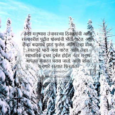 Picture 07 - उपदेशक 12:5 MARIRV - तेव्हा मनुष्यास - Bible Verse Picture