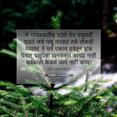 Picture 07 - उपदेशक 3:19 MARIRV - जे मानवजातीस घडते - Bible Verse Picture