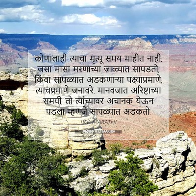 Picture 07 - उपदेशक 9:12 MARIRV - कोणालाही त्याचा - Bible Verse Picture
